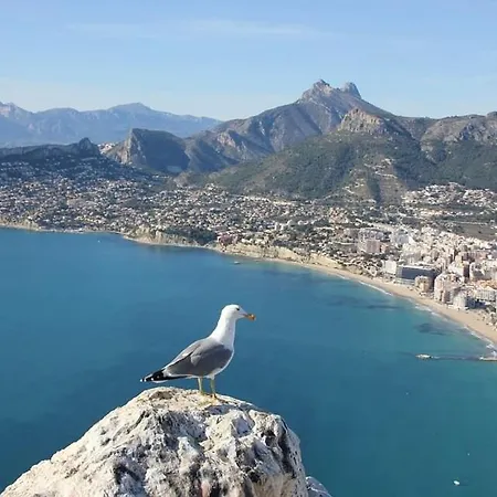 Almendros - Plusholidays Calpe